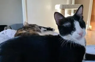 Billy Bob thumbnail 2