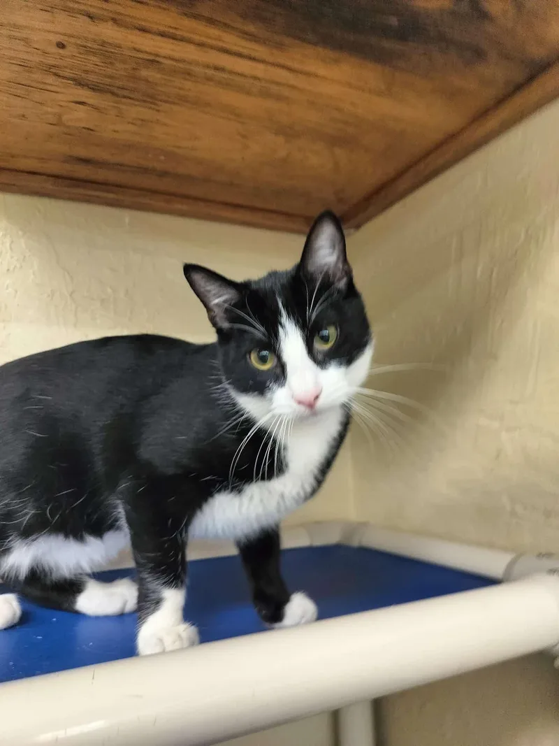 Billy Bob thumbnail 5