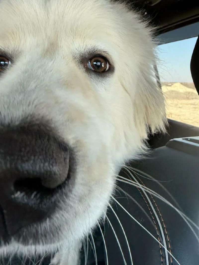 Cisco Sat thumbnail 2