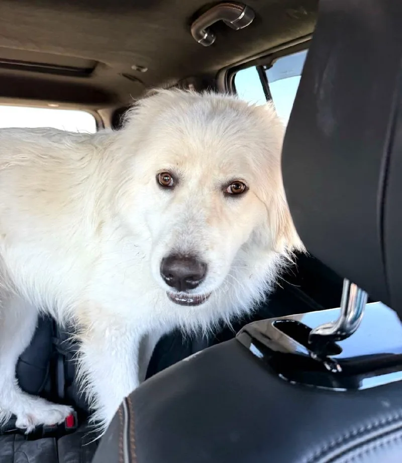 Cisco Sat thumbnail 6