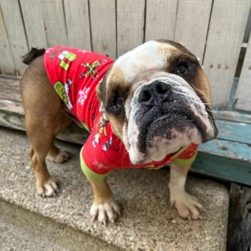 King K. Rool thumbnail 5