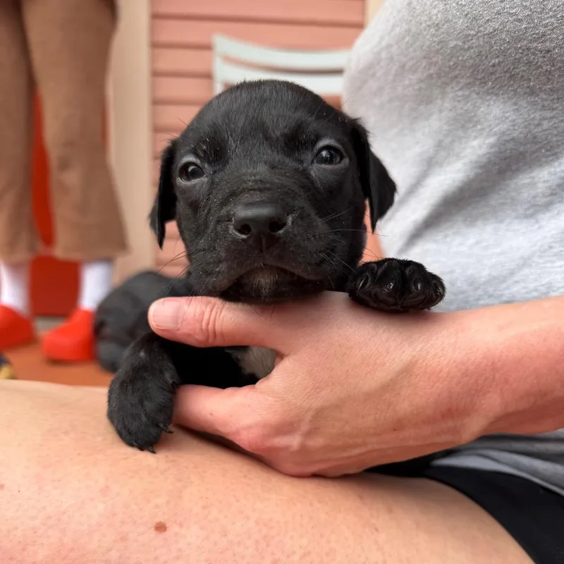 Kirk Doglas thumbnail 5