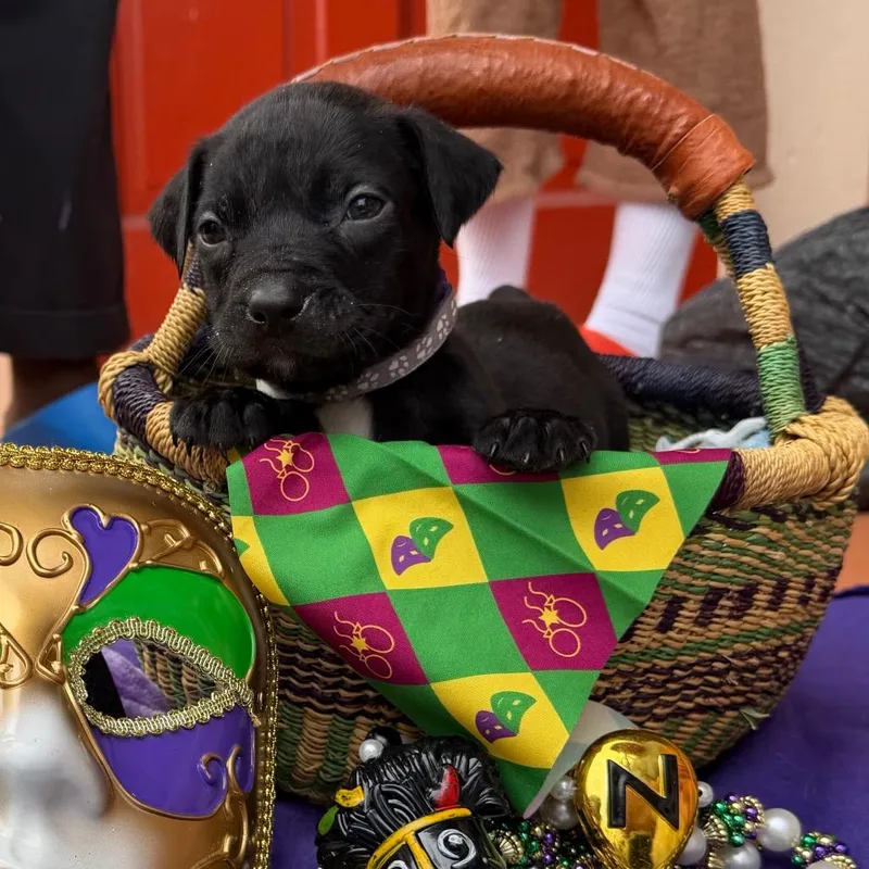 Kirk Doglas thumbnail 6