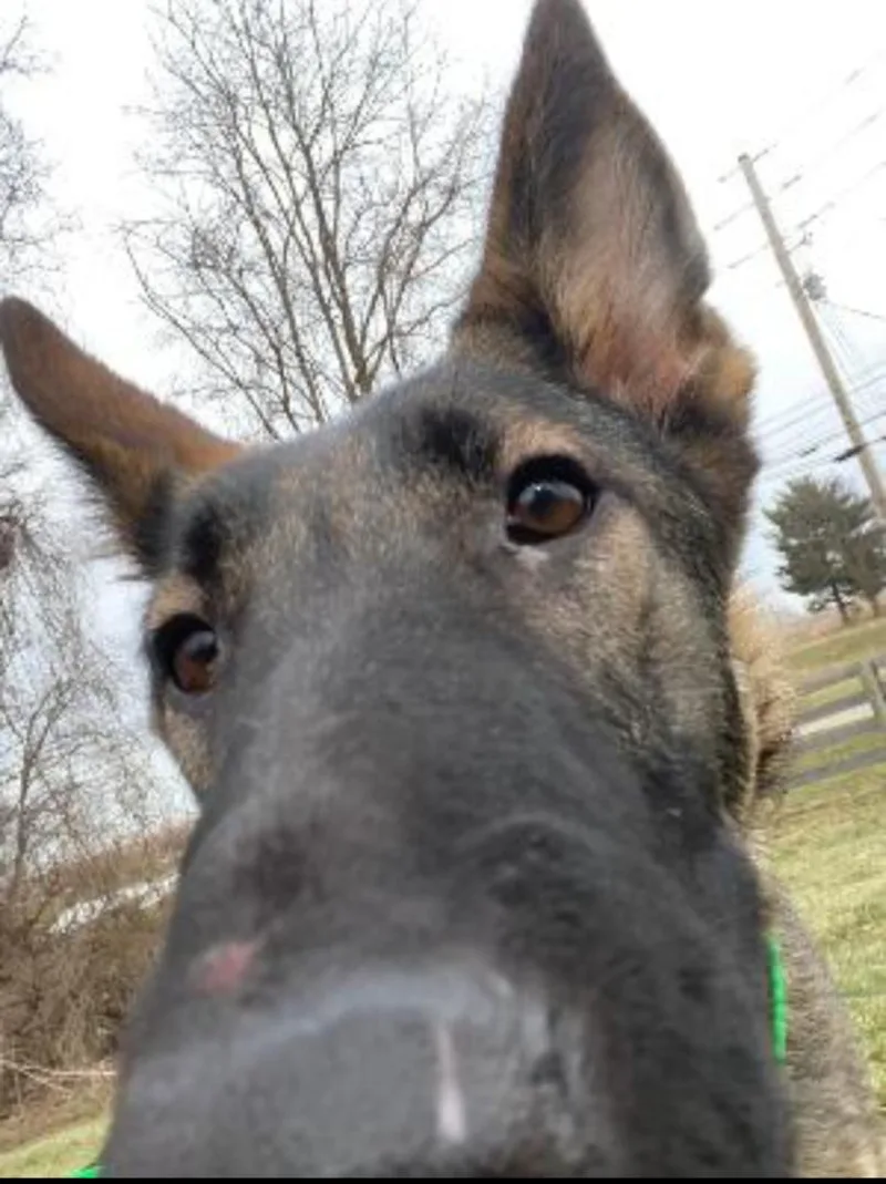 Craig Patrick thumbnail 2