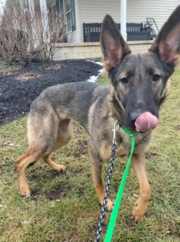 Craig Patrick thumbnail 3