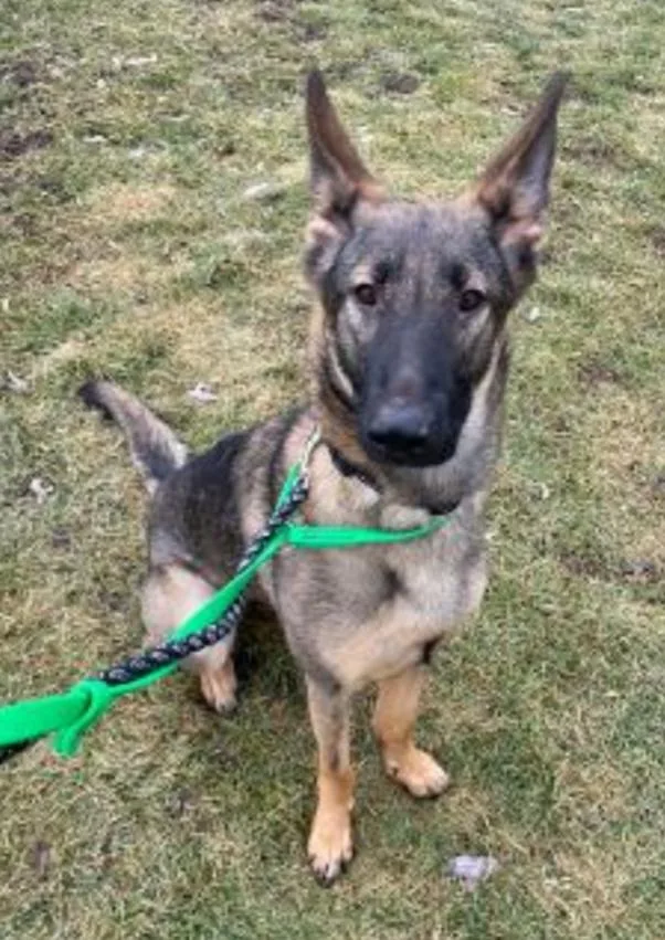 Craig Patrick thumbnail 4