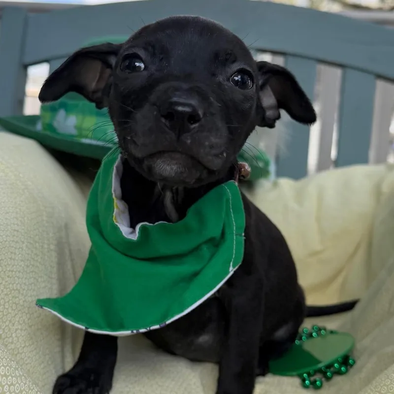 Ethel Mutts thumbnail 2