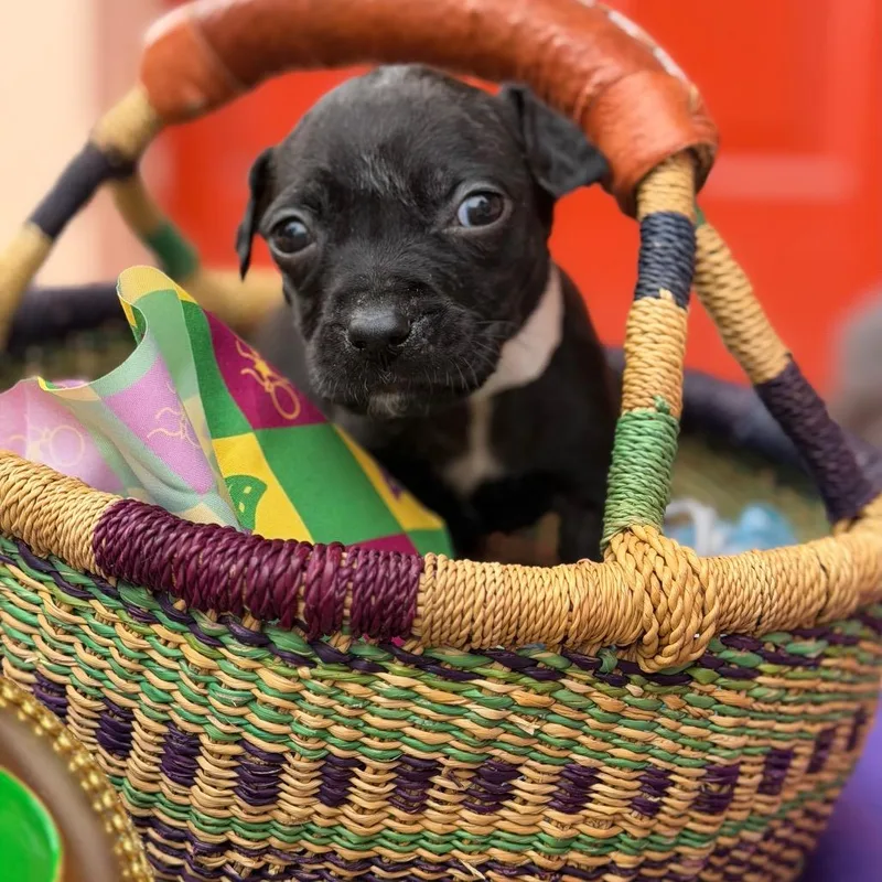 Ethel Mutts thumbnail 4