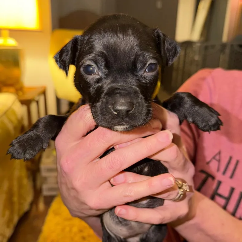 Ethel Mutts thumbnail 6