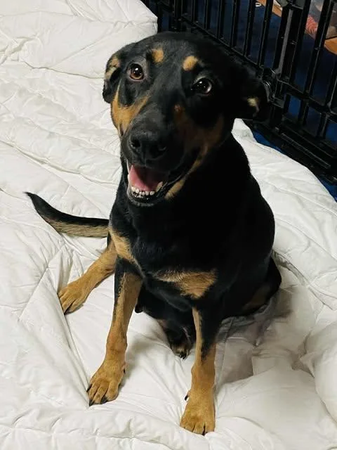 Freida Mcfadden thumbnail 2