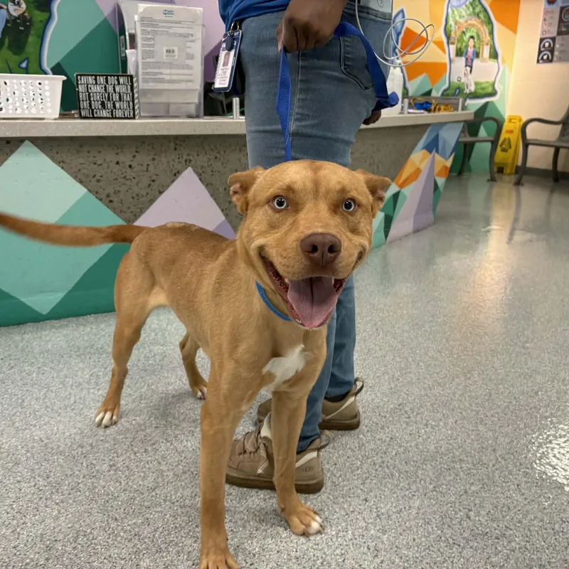 Blue Steele thumbnail 2