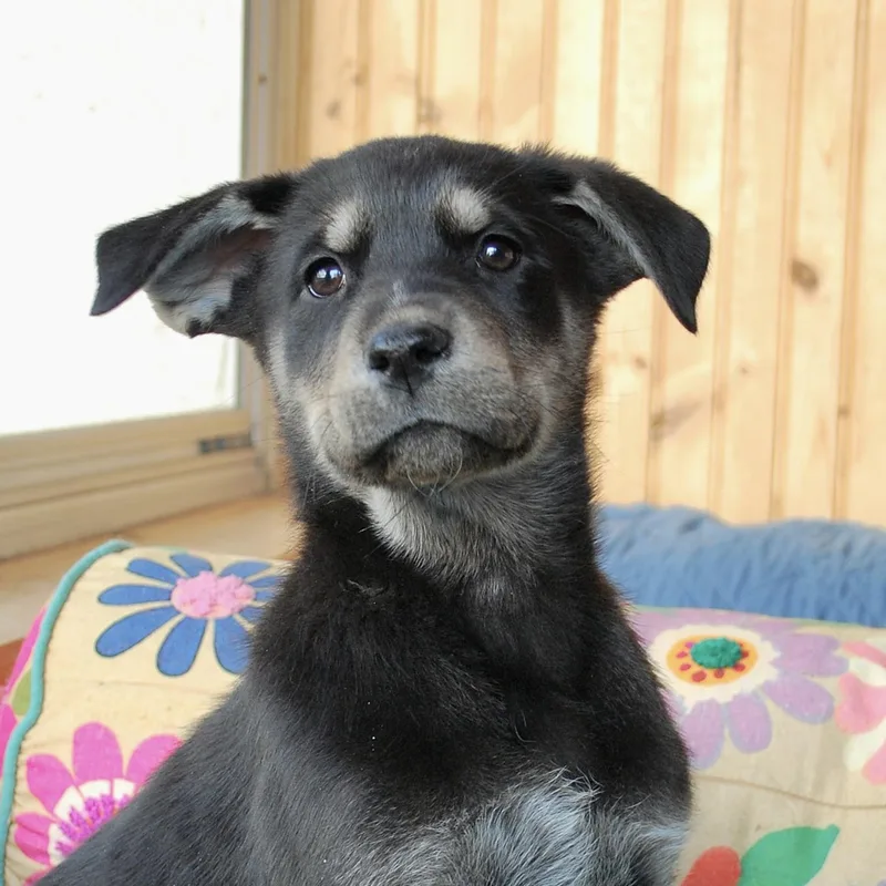 Jim Bridger thumbnail 3