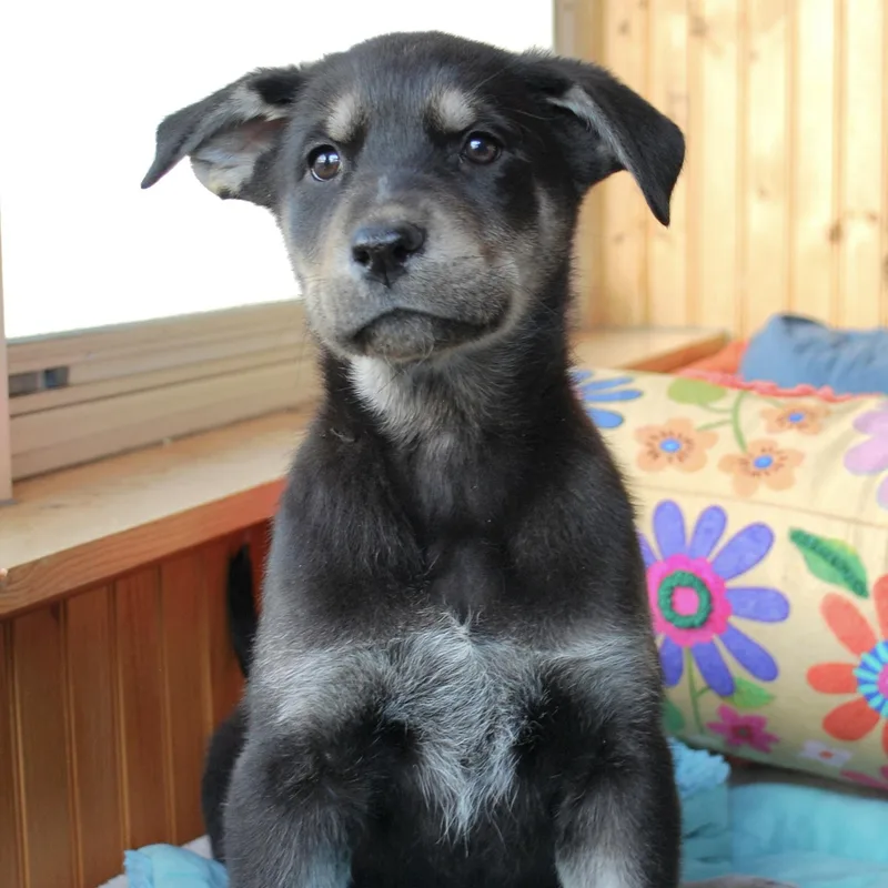 Jim Bridger thumbnail 4