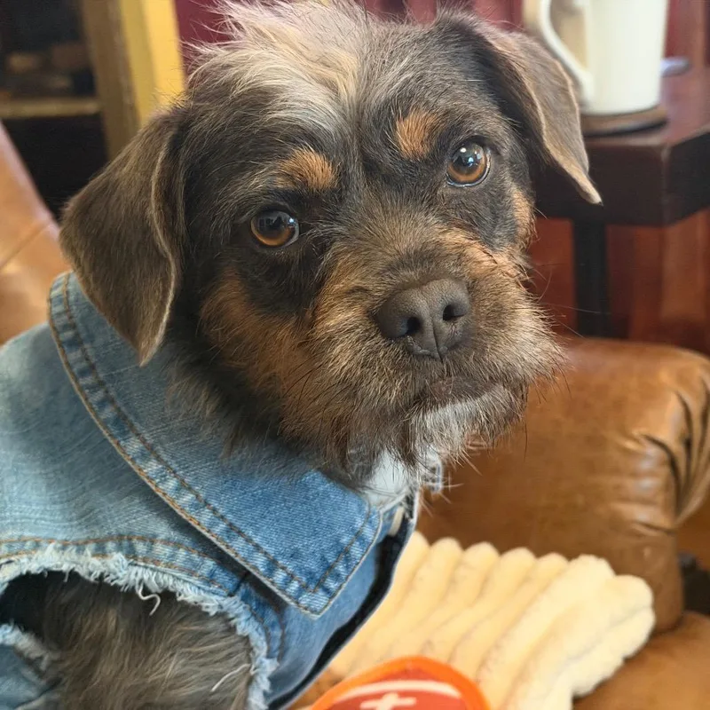 Cee Cee Cupcake thumbnail 3