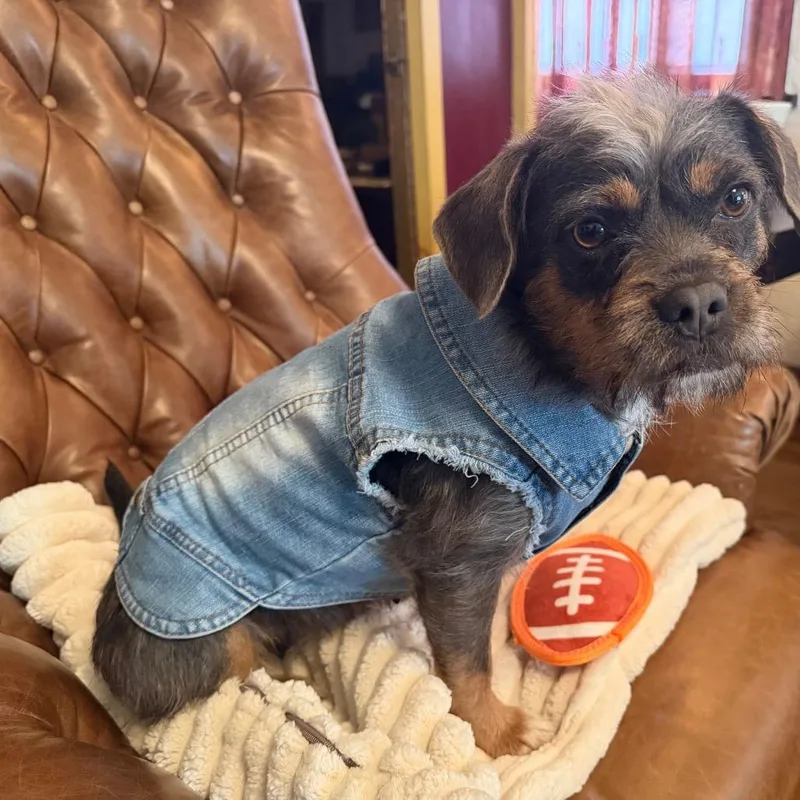 Cee Cee Cupcake thumbnail 5