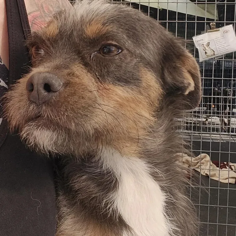 Cee Cee Cupcake thumbnail 6