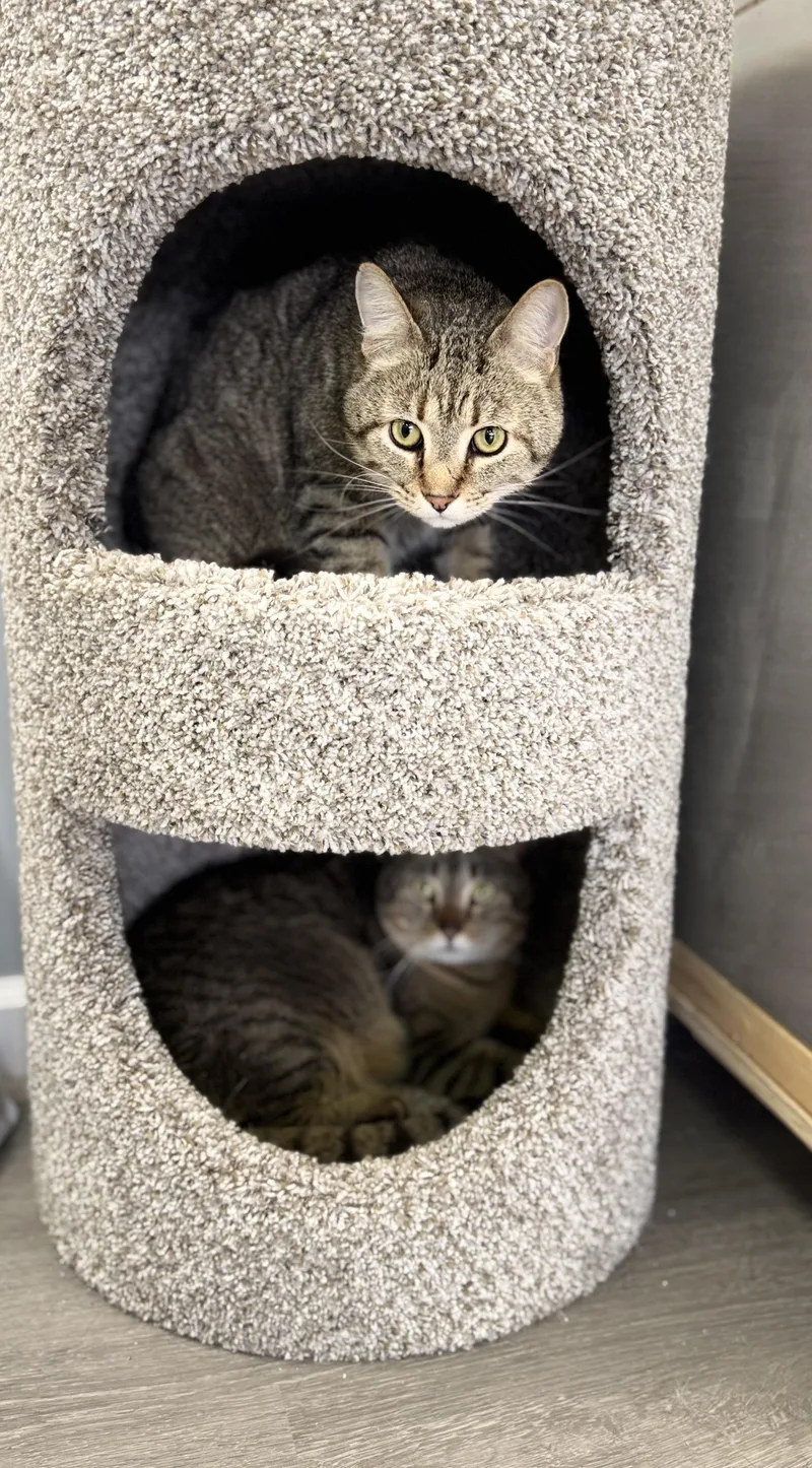 Benji And Zach thumbnail 2