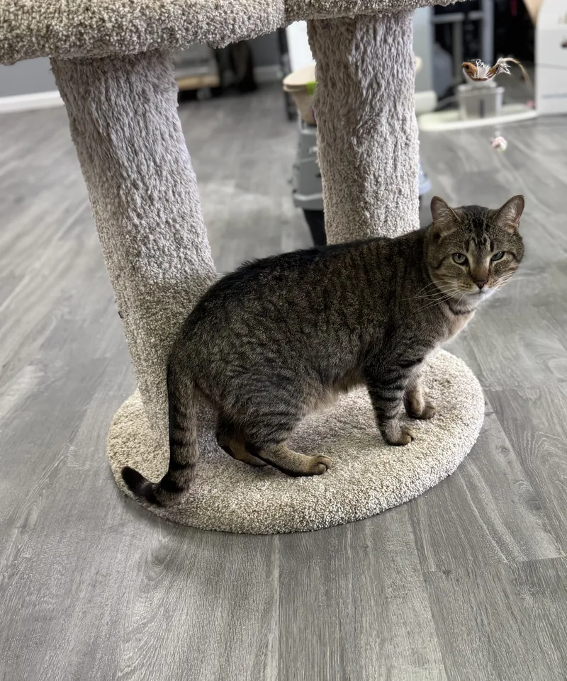 Benji And Zach thumbnail 3