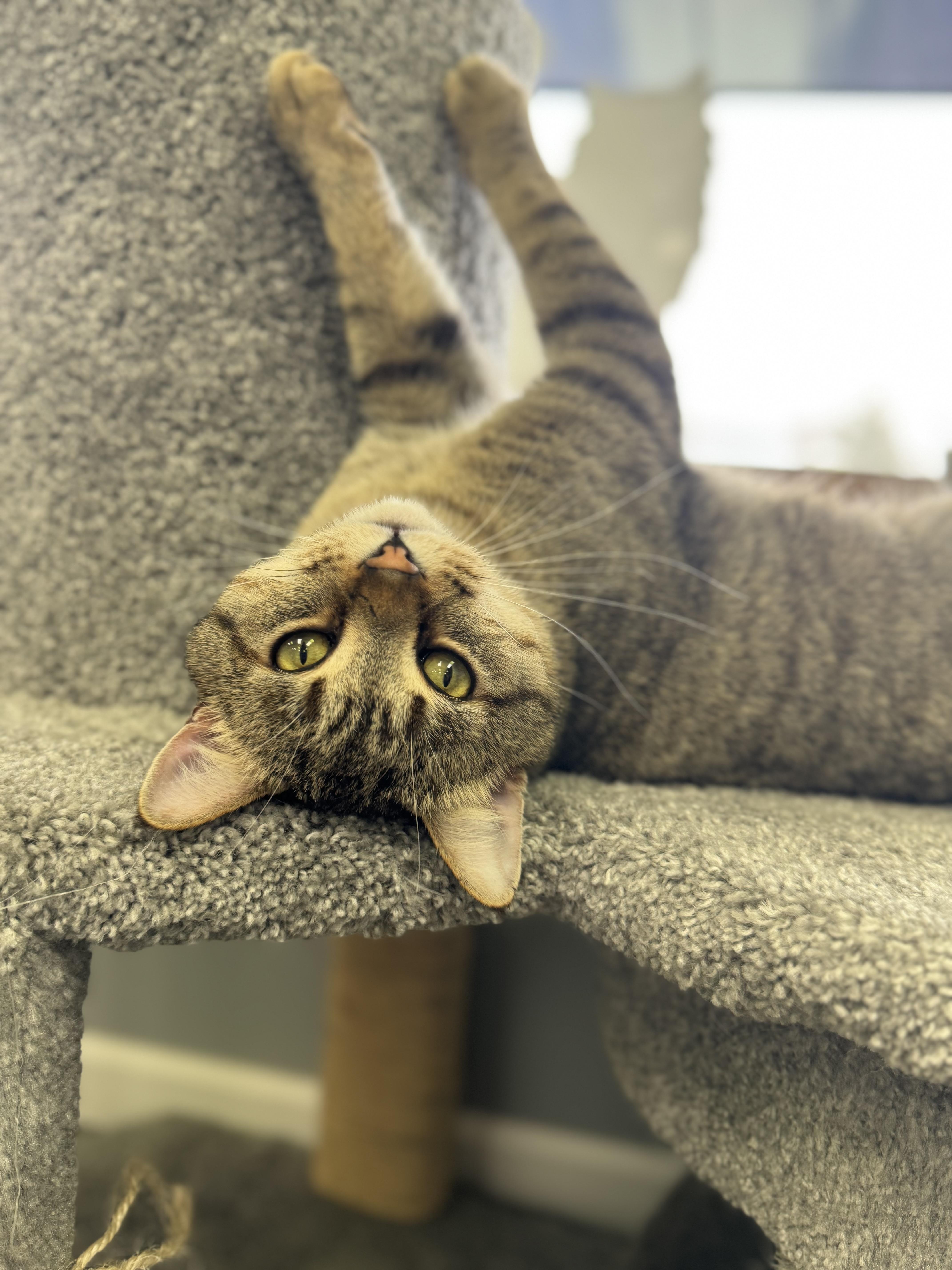 Benji And Zach thumbnail 6