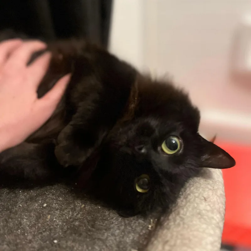 Linda And Loonette thumbnail 2