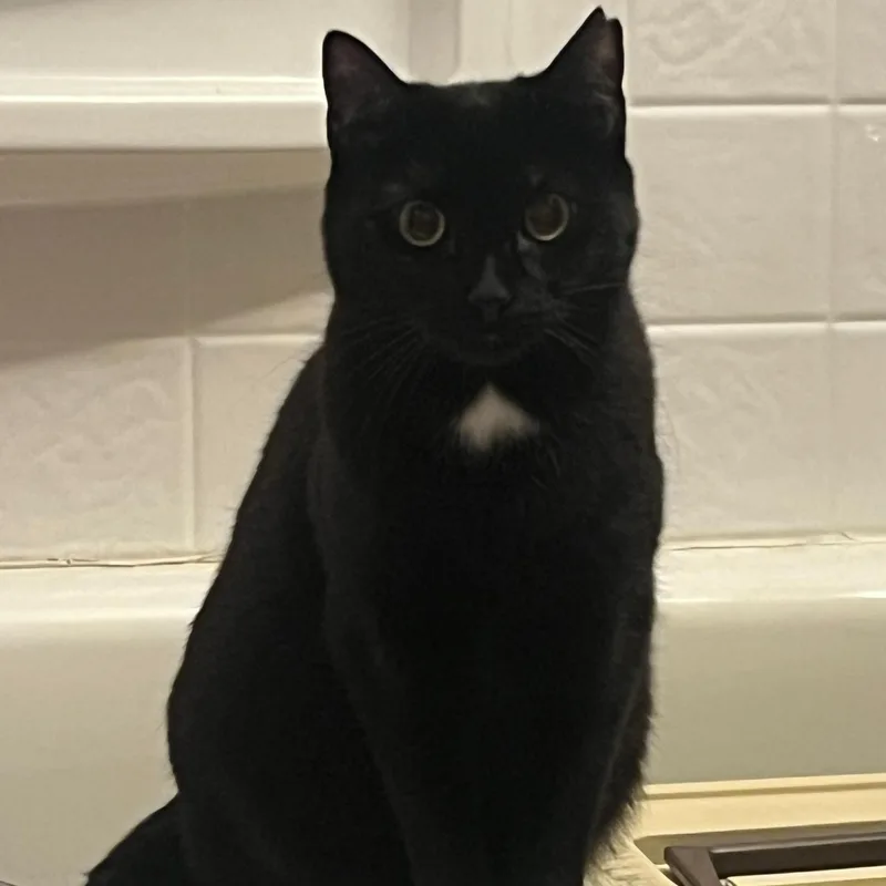 Linda And Loonette thumbnail 3