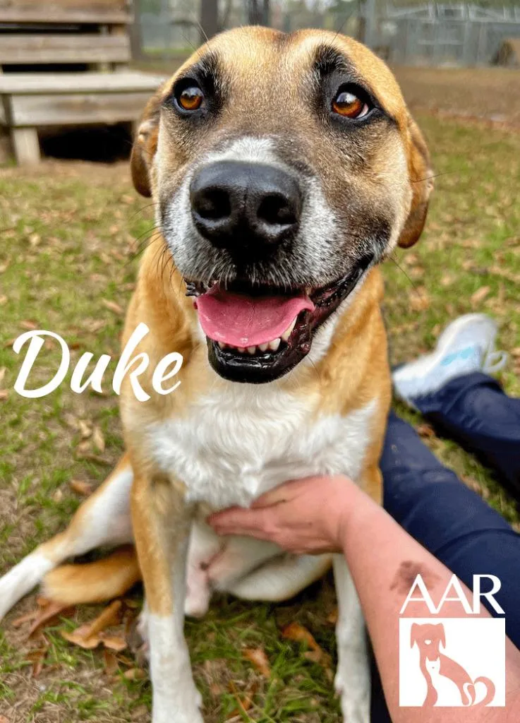 Duke