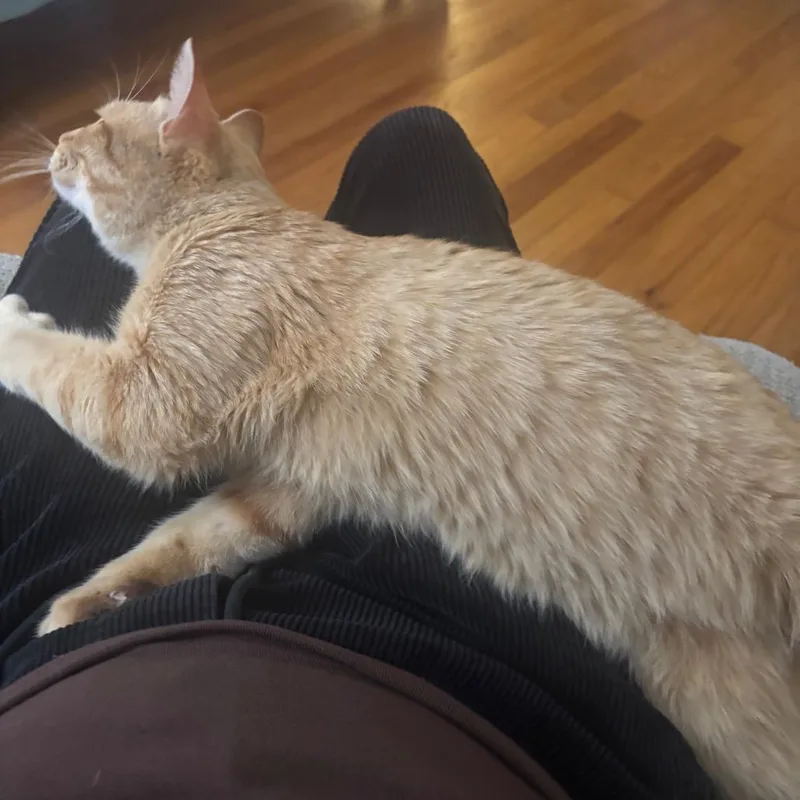 Valentin thumbnail 5