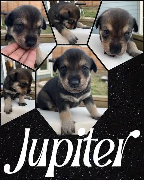 Jupiter