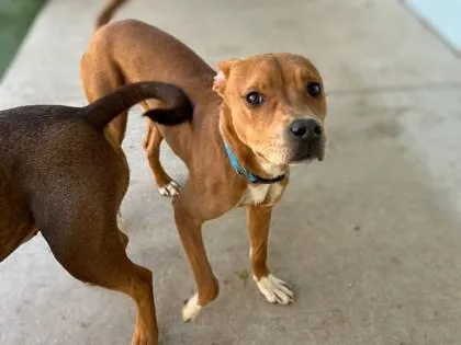 Jazzercise thumbnail 2