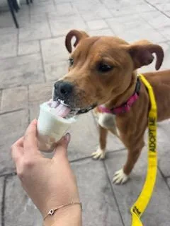 Jazzercise thumbnail 3