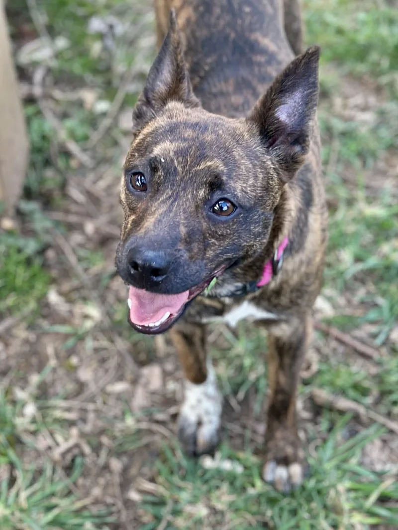 Mimi  Meet Me thumbnail 2