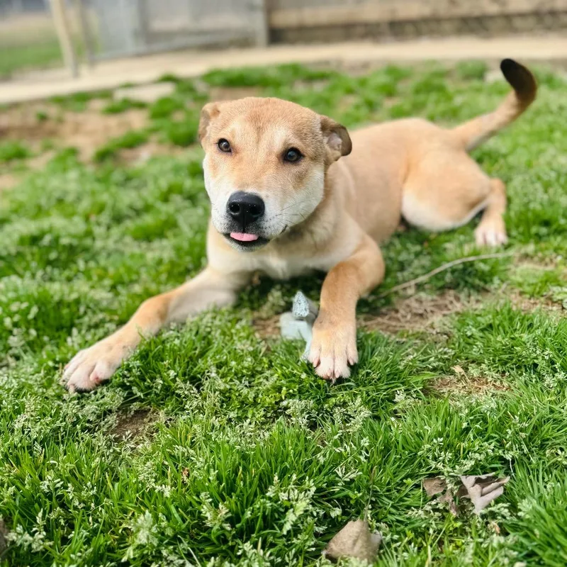 Sullivan thumbnail 2