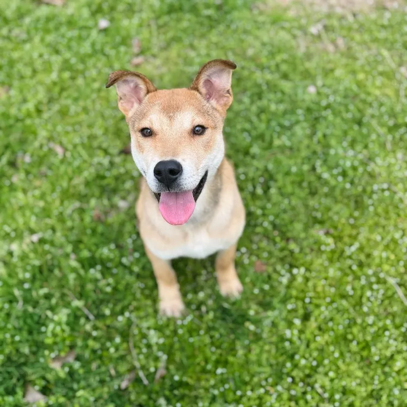 Sullivan thumbnail 5