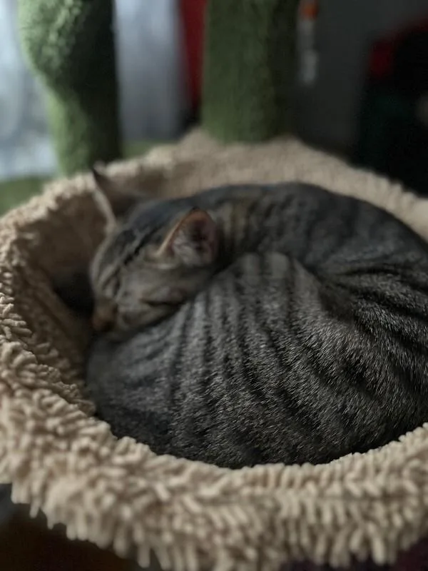 Poseidon thumbnail 2