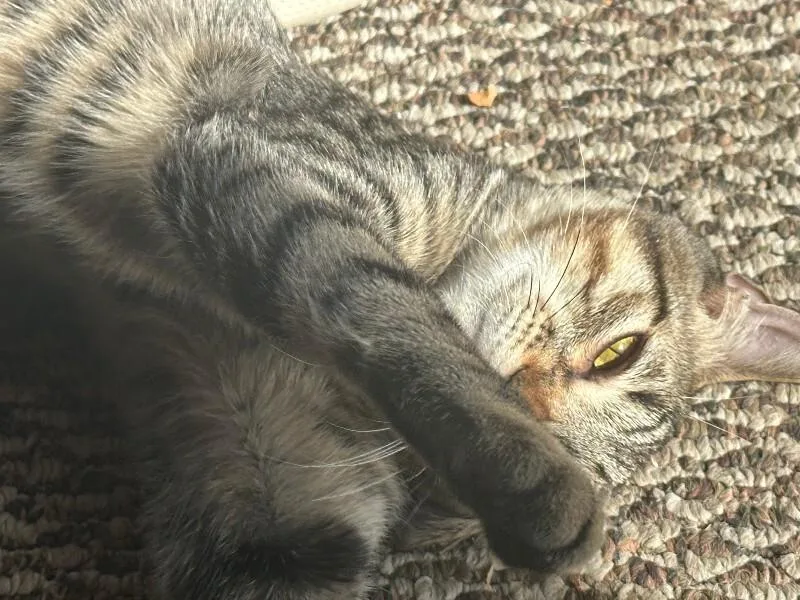 Poseidon thumbnail 3