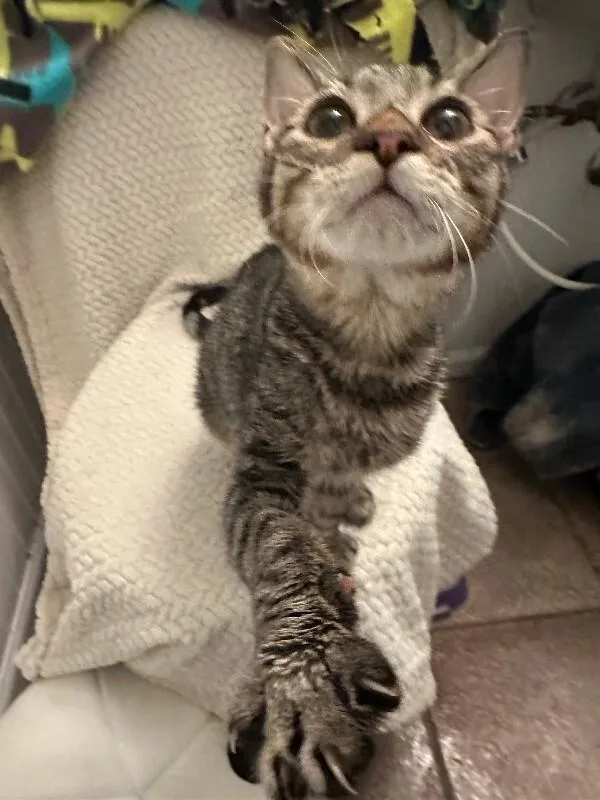 Poseidon thumbnail 5