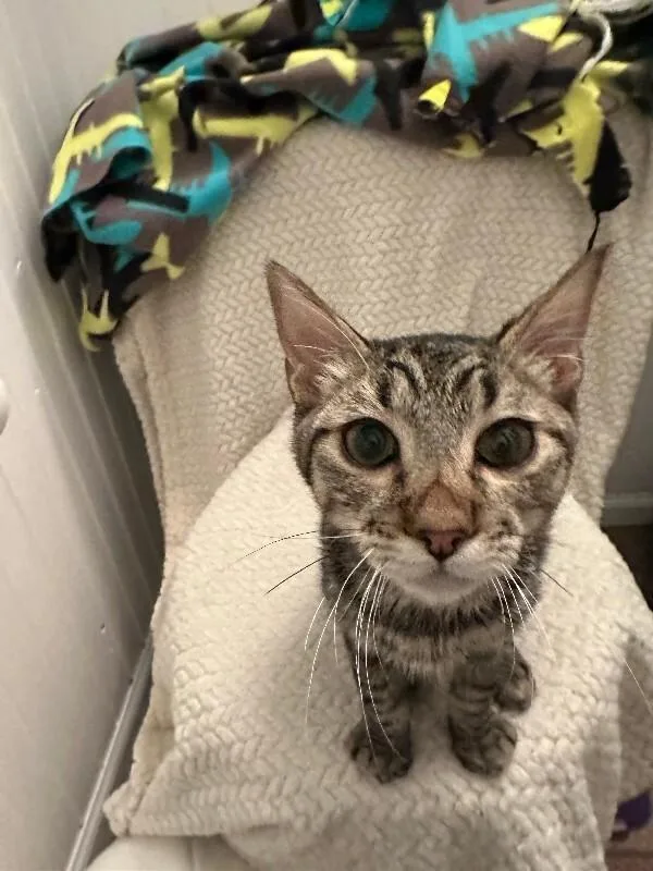 Poseidon thumbnail 6