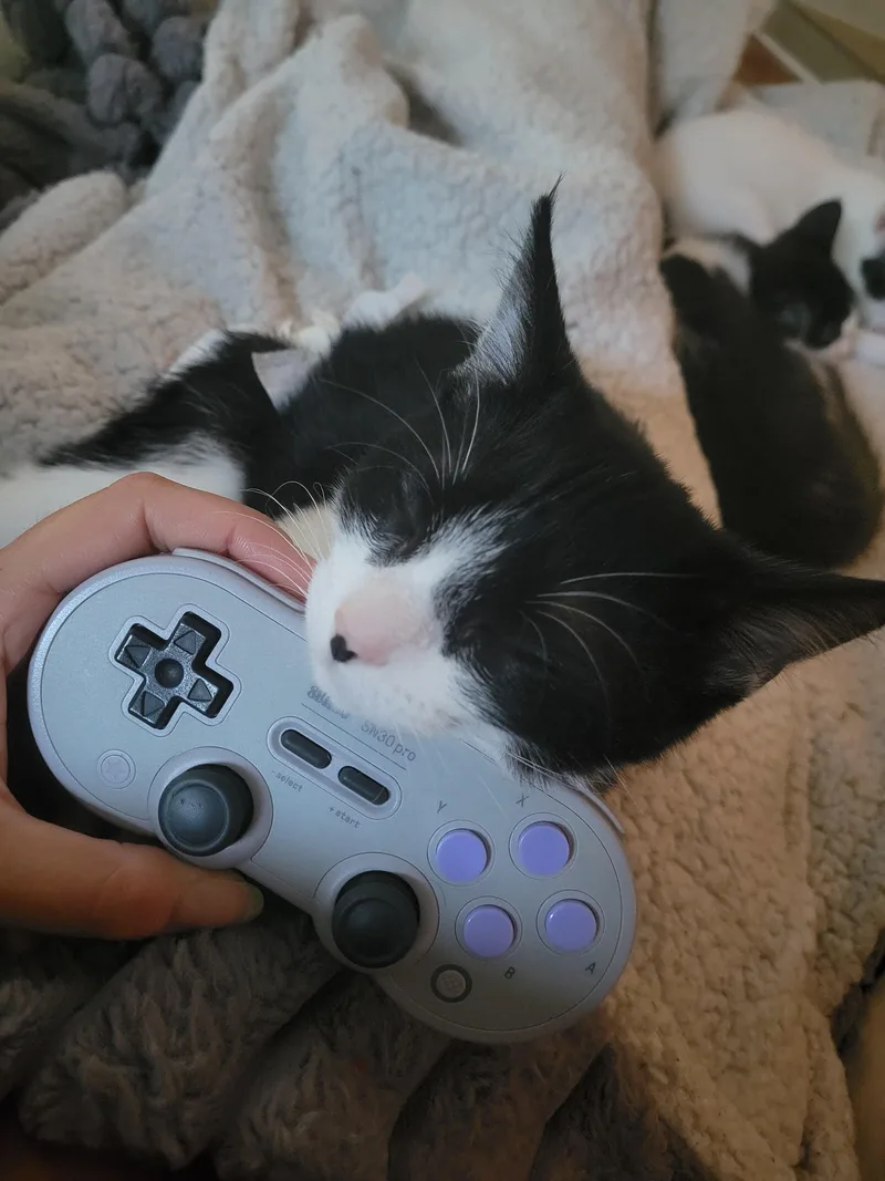 Potato Salad thumbnail 6