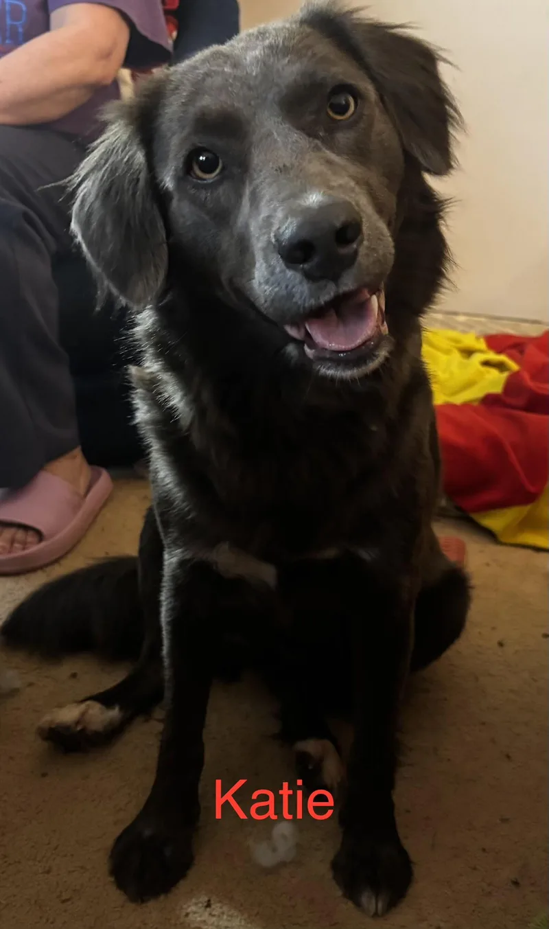 Bonded Pair Feebee & thumbnail 2