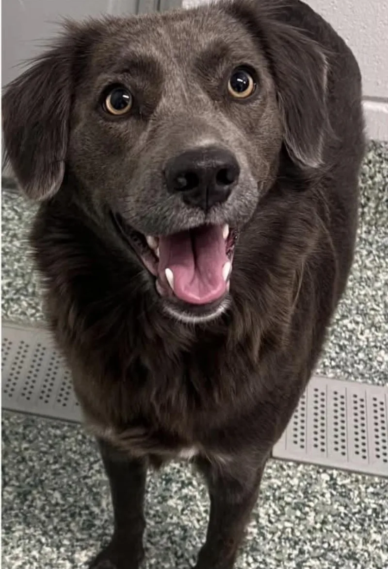 Bonded Pair Feebee & thumbnail 6