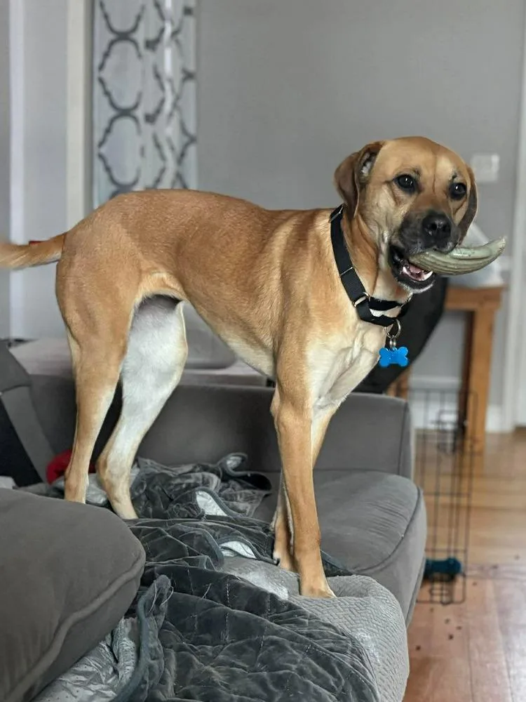 Valentina thumbnail 2