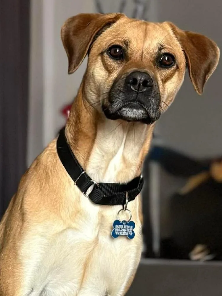 Valentina thumbnail 3