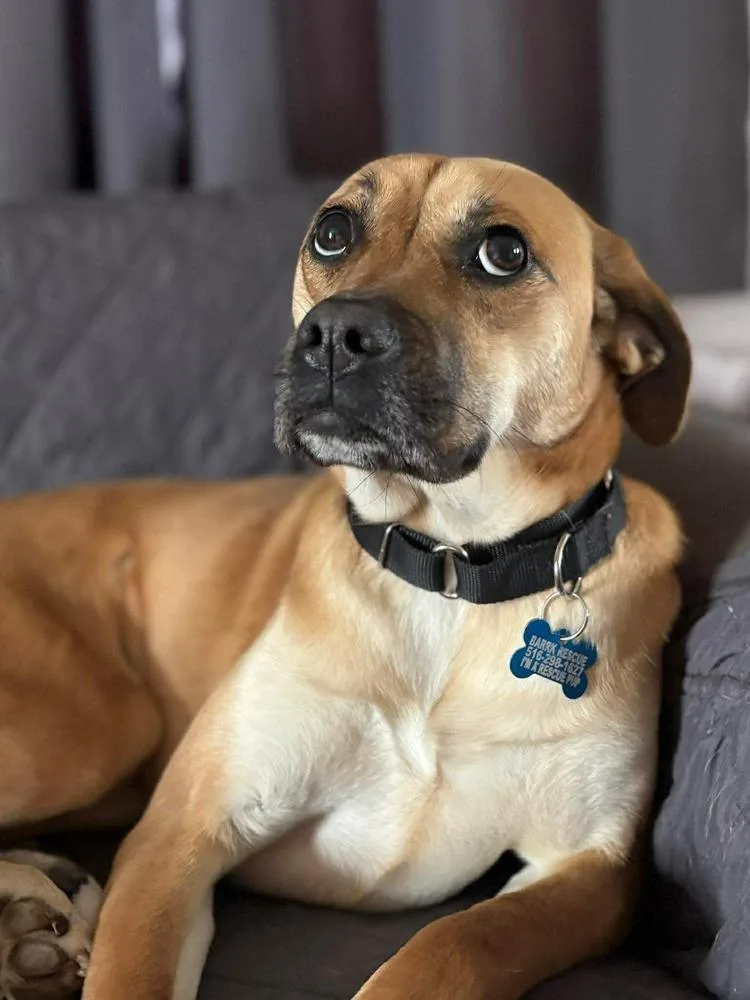 Valentina thumbnail 4