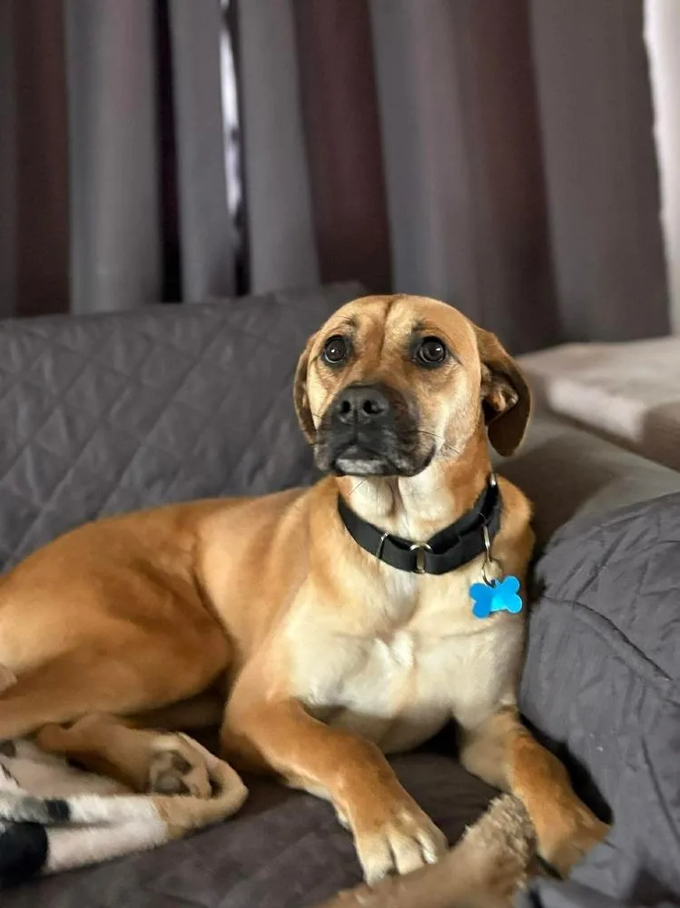 Valentina thumbnail 6