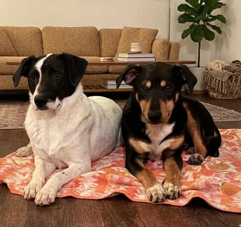 Skeeter Bartow thumbnail 2