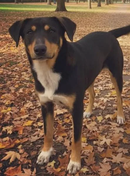 Skeeter Bartow thumbnail 3