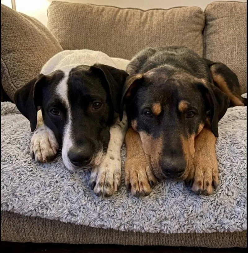 Stevie Bartow thumbnail 2