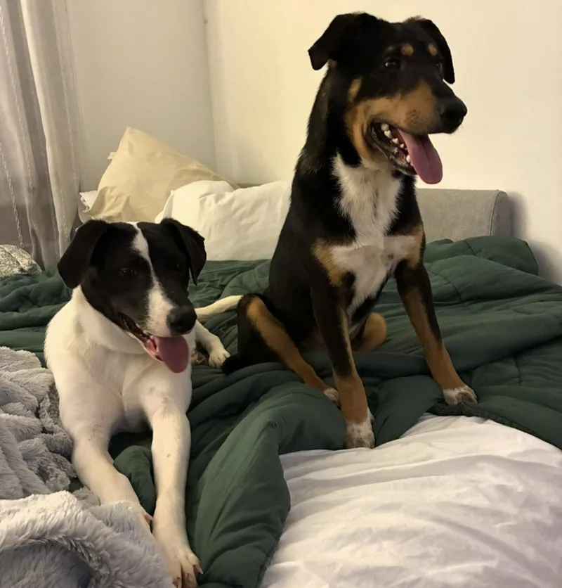 Stevie Bartow thumbnail 3