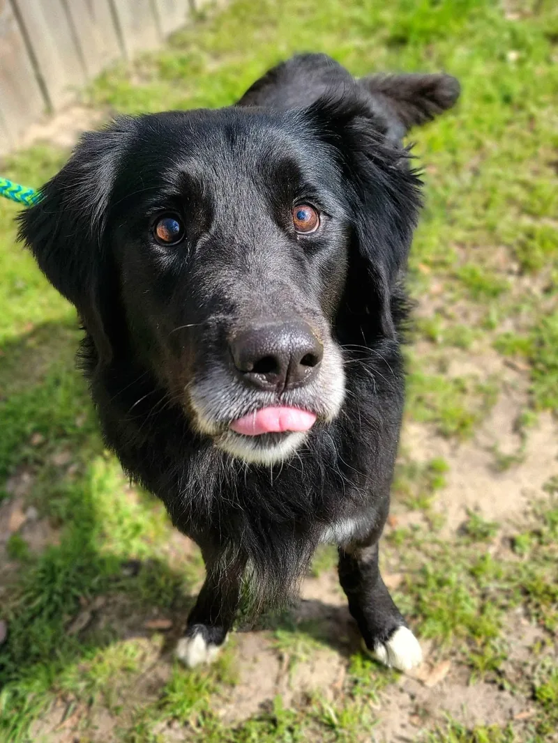 Blind Bob thumbnail 2