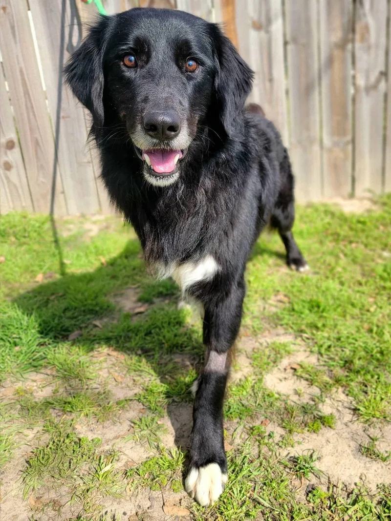 Blind Bob thumbnail 3